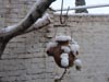 Previous picture :: Wallpaper - Quetta Snowfall January 2012 (19) - 4608 x 3456